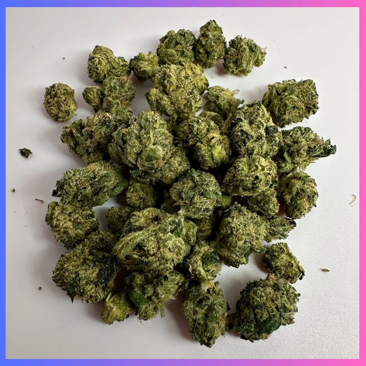 Pink Lemonade - Sativa - 32.47 % THC - 7g
