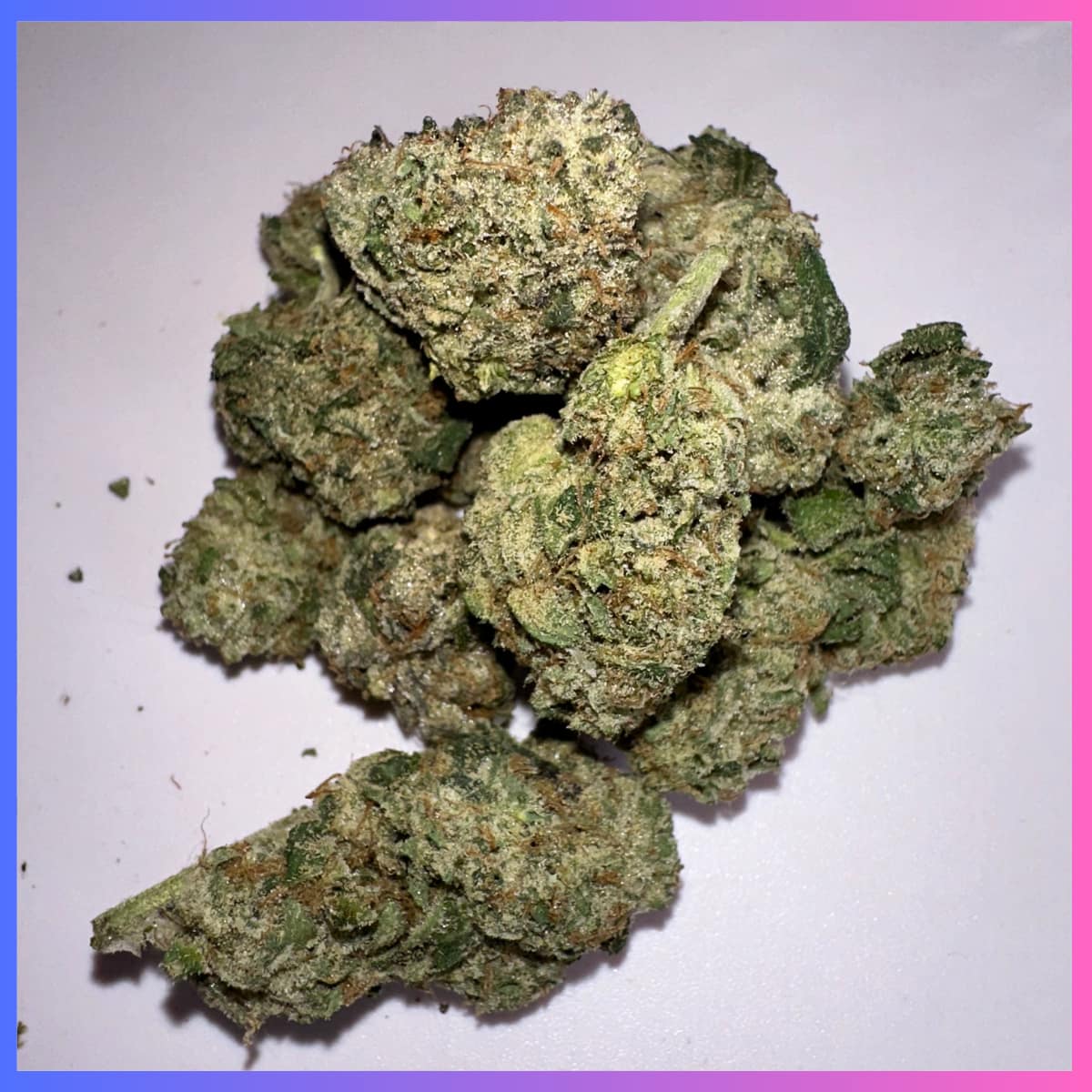 Green Crack - Sativa - 24% THC - 7g